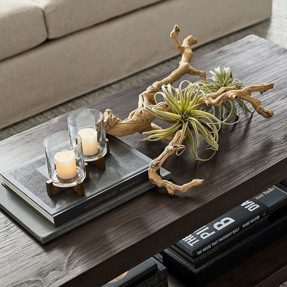 NEW POTTERY BARN Tan Grape Wood Mint Green Faux Air Plant Tabletop Decor Display - Picture 5 of 13